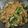 Cooksnap dari Dapoer Nasya untuk resep Mie Nyemek Indomie Goreng