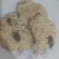 El cooksnap de Daniela Barcelo cuando hizo Galletas de avena y harina integral.