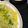 Swati Bharadwaj's cooksnap of when they made Garlic rice.