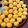 Khyati Dhaval Chauhan's cooksnap of when they made Mohanthal.