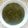 Shital Patil's cooksnap of when they made शेपु भाजी (Shepu Bhaji Recipe In Marathi).