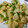 Diksha Singh's cooksnap of when they made Khatti-Mithi Fried Idlis.
