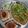 Arpana Gandhi's cooksnap of when they made ભાજી પાઉ(Bhajipav recipe in Gujarati).