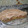 El cooksnap de Noemi P. cuando hizo Crumble de manzana.