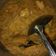 Cooksnap dari Yunita Ayuningtyas untuk resep Sambal goreng labu siam