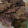 Cooksnap dari mila atmajaya untuk resep Almond Flour Banana Bread (Tanpa Mixer)