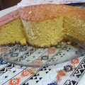 El cooksnap de Pao Britos cuando hizo Bizcochuelo de naranja en licuadora!.