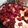 Eric's cooksnap of when they made Chinese BBQ Pork (Char Siew).