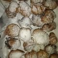 El cooksnap de Antonella Sierra cuando hizo Buñuelos de limón.