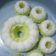 Cooksnap dari Ummu Isa untuk resep Putu Ayu 200