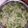 Selvapriya's cooksnap of when they made மல்லி இலை சாதம் (Malli ilai satham recipe in tamil).