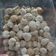 Cooksnap dari amalia ramadhini untuk resep Brown Sugar Boba / Golden Tapioca pearl