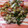 El cooksnap de SleivaG cuando hizo Ensalada de garbanzos con atún.