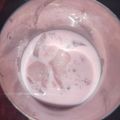 Sheerin S's cooksnap of when they made நுங்கு பால்(ice apple sarbath recipe in tamil).