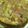 El cooksnap de Duphi cuando hizo Tartar de salmón aguacate y mango.