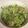 chrissy's cooksnap of when they made Zucchini Noodles with Pesto Chicken and Garlic Alfredo sauce.