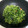 i❤️beauty 愛料理 的 #宅家煮飯 只有🌹雪裡紅🤣 cooksnap