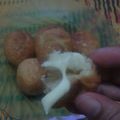 Cooksnap dari Bunda Salsabrina untuk resep Roti goreng tape