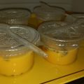 Cooksnap dari Riyyasy Azfa untuk resep Puding puyo / puding silky praktis puding susu nutrijell