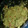 El cooksnap de Wendy Martir cuando hizo Guacamole. ॐ.
