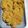 Cooksnap dari Maretha untuk resep Jamur Tiram Crispy