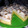 El cooksnap de gigifabio cuando hizo Lemon pie sin azúcar!!!!!.