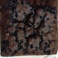 Cooksnap dari Sukmawati Uma untuk resep Chocochip Choco Bolu Kukus
