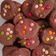 Cooksnap dari Rienzz Ajja untuk resep Good Time Cookies Choco Chips Renyah (KW)