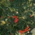 Cooksnap dari chelsamuwady untuk resep Kangkung Santan gurih (bobor)