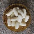 Azmathunnisa Y's cooksnap of when they made ரசகுல்லா (Rasagulla recipe in tamil).