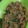 Cooksnap dari Chinta untuk resep Sambel tempe kemangi endess