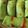 Cooksnap dari Savira Kartika untuk resep Dadar gulung pandan