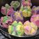 Cooksnap dari Dina Agustina untuk resep Bolu Kukus Mekar Rainbow