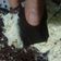 Cooksnap dari Ratna Wahyuningtyas untuk resep CAKE COKLAT MOIST (lembab dan lembut)