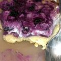 lrodriguez922002's cooksnap of when they made *Blueberry Swirl Cheesecake Bars*.