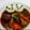 李小寶 的 漢堡排/日式咖哩 cooksnap
