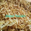 Cooksnap dari Rianty RiaNty untuk resep Stik Royco anti gagal