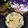 Rina Das's cooksnap of when they made পাস্তা (pasta recipe in Bengali).