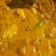 Cooksnap dari ari agustine untuk resep Gulai Ayam Nanas