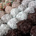 maitane's cooksnap of when they made Chocolate Oreo Truffle Balls.