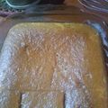 El cooksnap de Ariana Alegría Berroteran Pino cuando hizo Torta marmoleada económica.