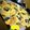 Pooja Sabhagchandani's cooksnap of when they made Gujarati dhokla.
