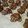 JeremyG's cooksnap of when they made Chocolate peanut clusters.