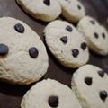 El cooksnap de Patricia Cantero cuando hizo Galletitas con Chips de Chocolate🍪🍪.