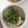 Cooksnap dari Syifana Rahma Addiyani untuk resep Pho Bo