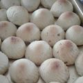 صورة من لمى ، شاركها بعد تجربة وصفة معمول بالحليب المكثف والمحلى 👌😋