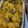 Cooksnap dari Lina Agustina untuk resep 400. Macaroni Schotel (Makaroni Kukus) untuk Anak #resepertamaku