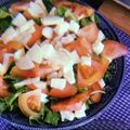 Cooksnap de Delfina Aleixo quando cozinhou Salada de Tomate e Queijo Fresco.