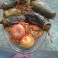 کوک اسنپ زهرا شکرالهی بعد از امتحان کردن دلمه کدو بادنجان.