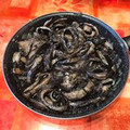 El cooksnap de solnubla2001 cuando hizo Calamares en su tinta.
